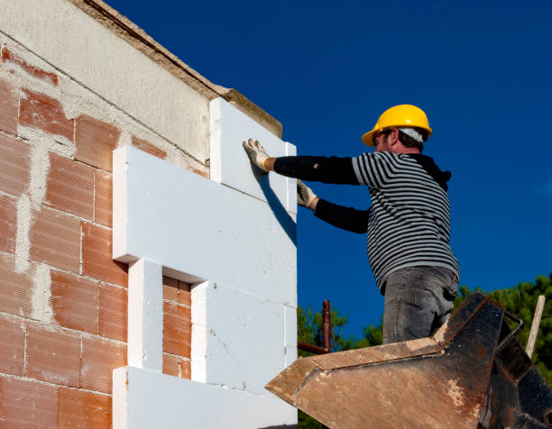 Best Insulation Replacement Services  in Saxonburg, PA