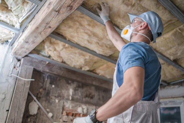 Best Insulation Contractor Near Me  in Saxonburg, PA