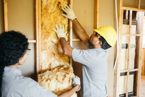 Best Commercial Insulation Contractor  in Saxonburg, PA