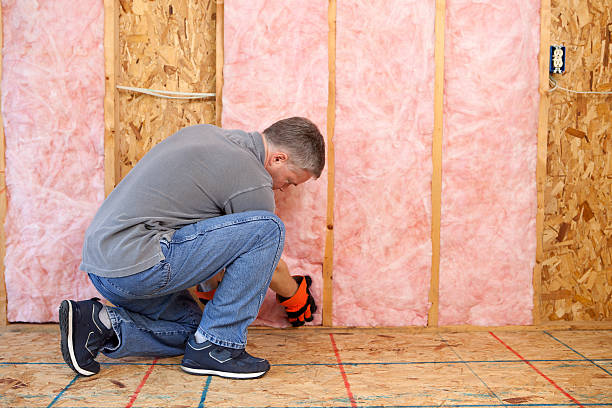 Best Home Insulation Services  in Saxonburg, PA