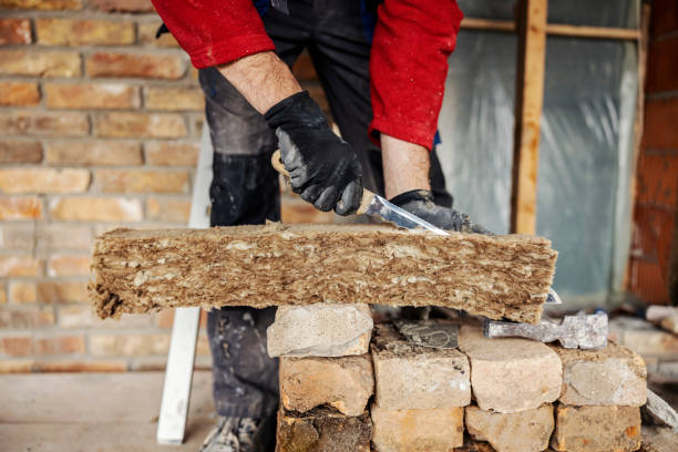 Best Local Insulation Services  in Saxonburg, PA