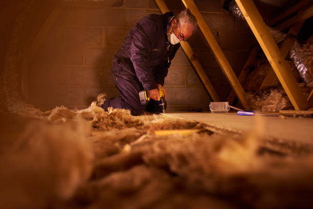 Best Attic Insulation Installation  in Saxonburg, PA