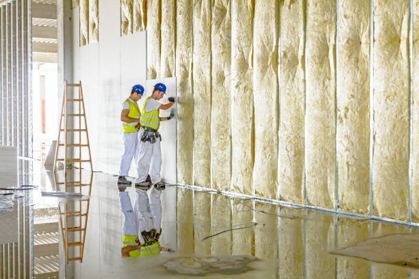 Best Cellulose Insulation  in Saxonburg, PA